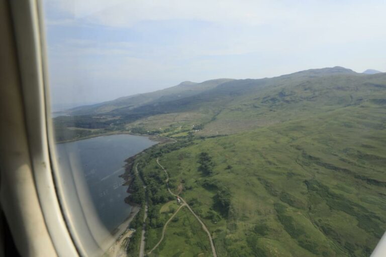 Aerial view of lush landscape from airplane window